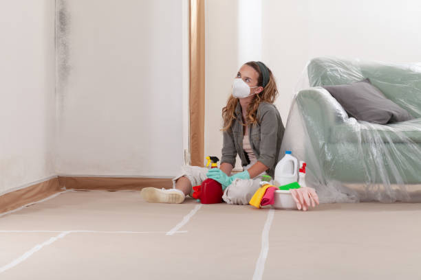 Reliable Basement Mold Removal contractor in Hudson, TX by WQB Mold Removal